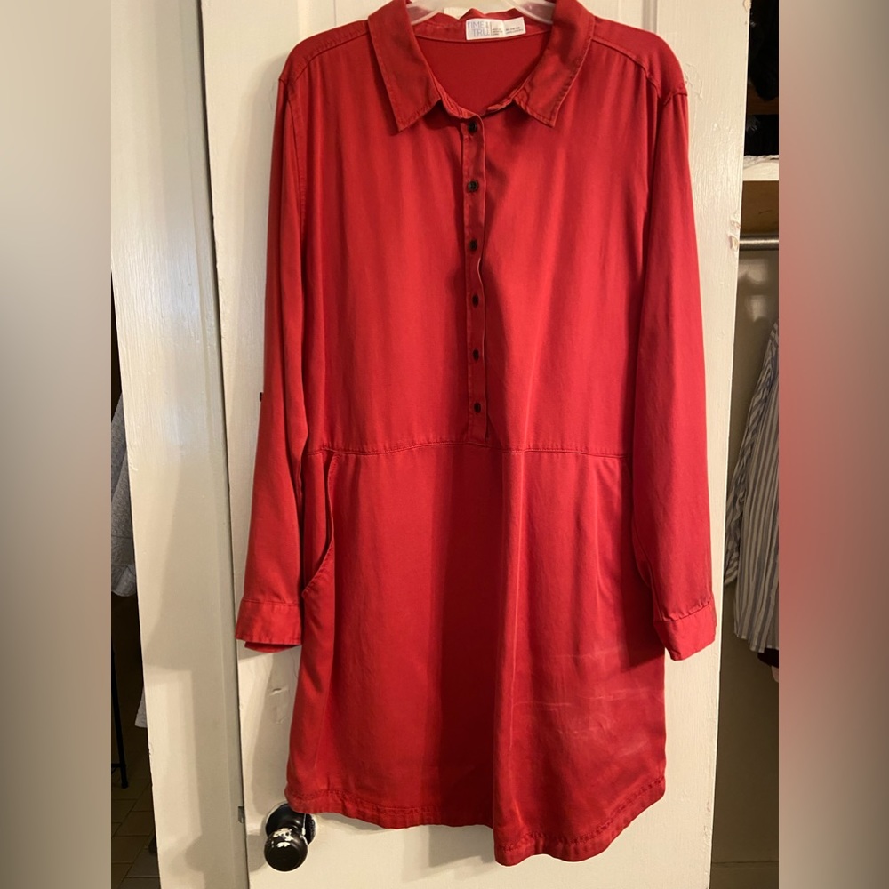 Button Down shirt dress